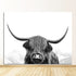 Wild Highland Cow Canvas Albert Canvas
