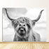Wild Highland Cow Canvas Hammish Canvas