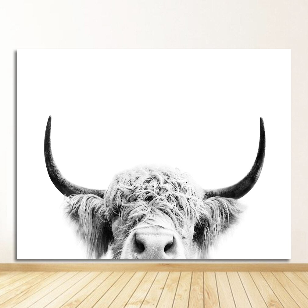 Wild Highland Cow Canvas Dolly Canvas