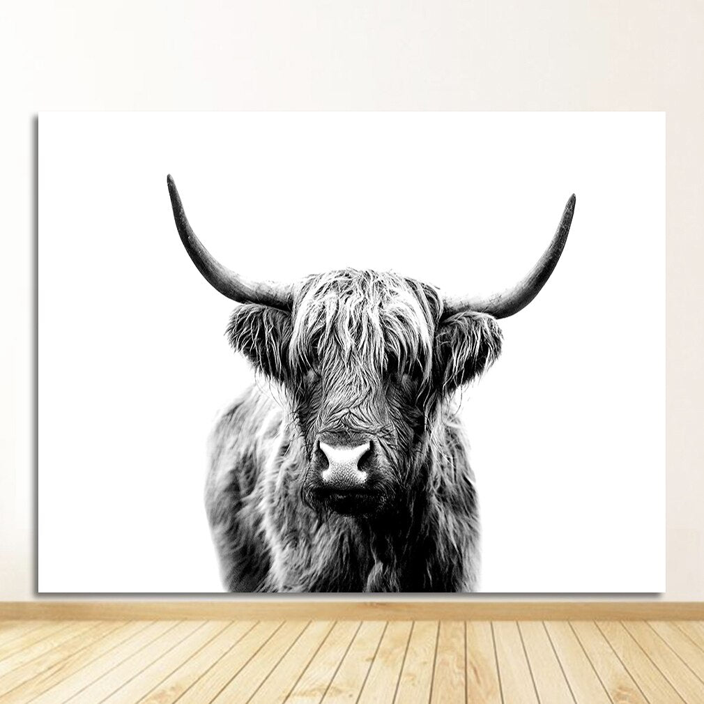 Wild Highland Cow Canvas Will Canvas