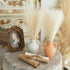 Fluffy Pampas Grass 55cm - Decorative Dried Flowers Pampas Grass