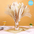 Dried Pampas Flowers - 70 to 120 Pieces 95 Pieces A Pampas Flowers