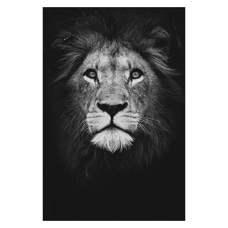 Wild Animal Canvas - Black & White Shades Lion Canvas