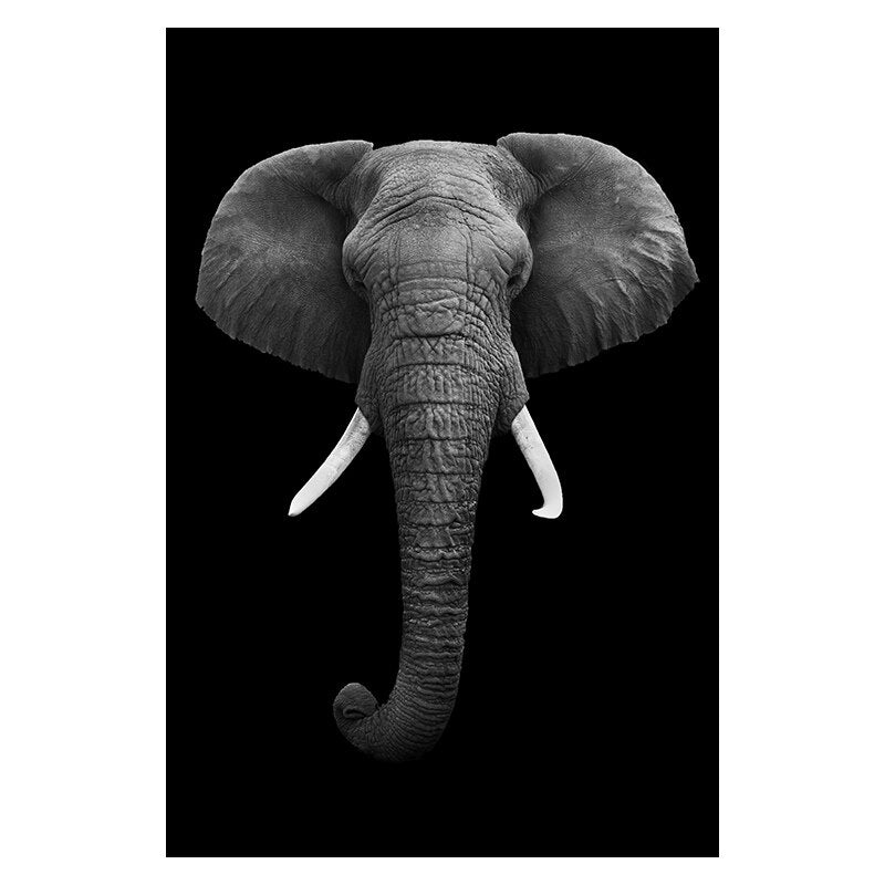 Wild Animal Canvas - Black & White Shades Elephant II Canvas