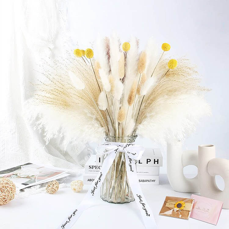 Dried Pampas Flowers - 70 to 120 Pieces 70 Pieces A Pampas Flowers