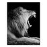 Wild Animal Canvas - Black & White Shades Roaring Lion II Canvas