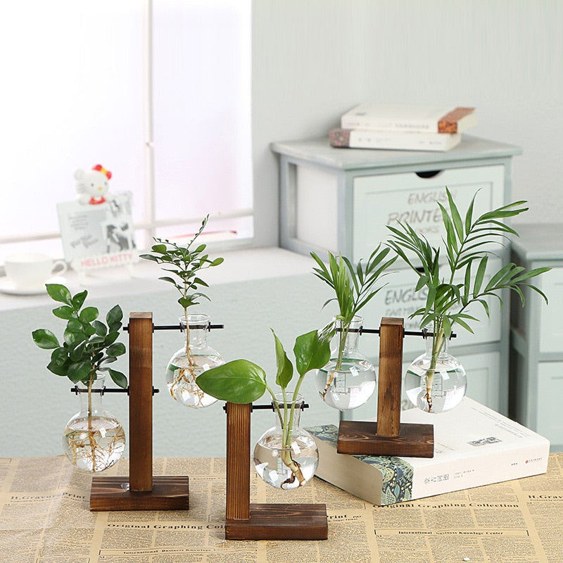 Glass Propagation Vase With Vertical Wooden Stand Glass Propagation Vase