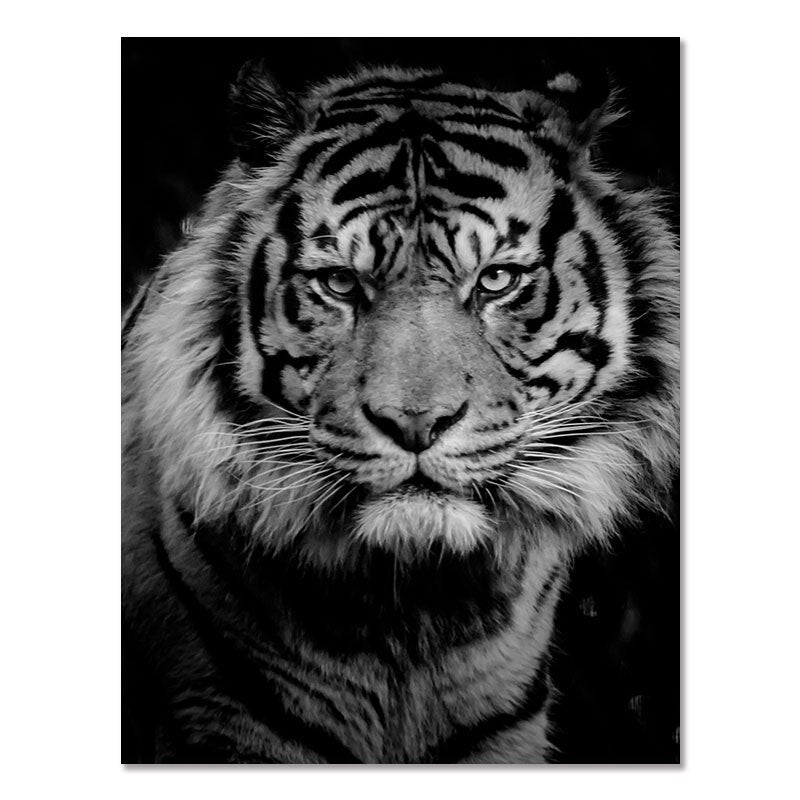 Wild Animal Canvas - Black & White Shades Tiger Canvas