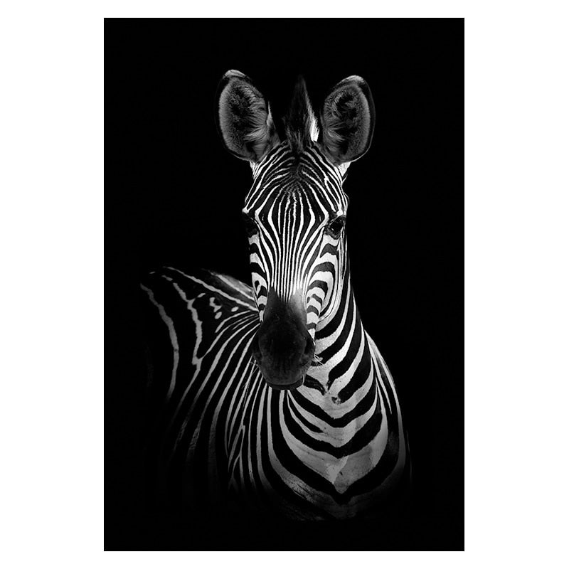 Wild Animal Canvas - Black & White Shades Zebra I Canvas