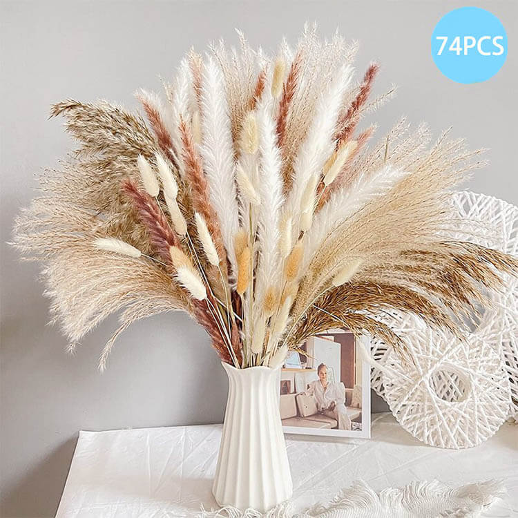 Dried Pampas Flowers - 70 to 120 Pieces 70 Pieces B Pampas Flowers