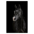 Wild Animal Canvas - Black & White Shades Black Horse Canvas