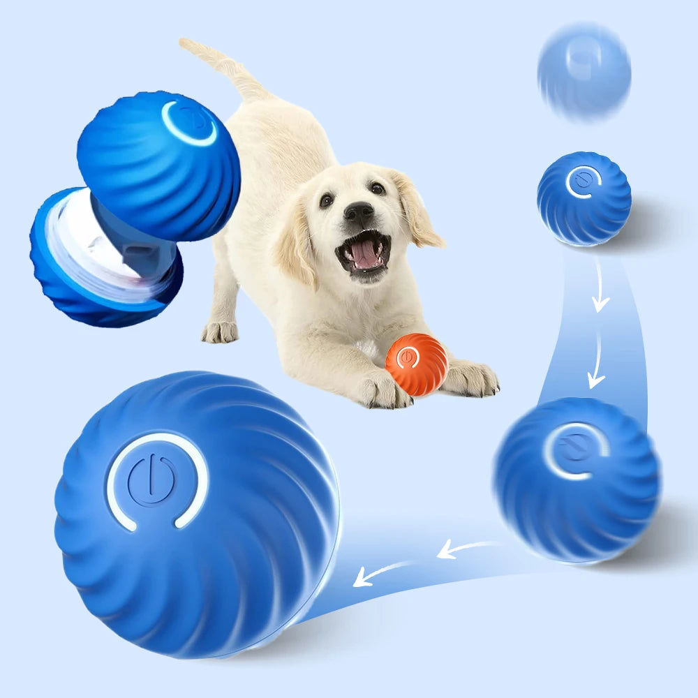 Puppy PlayMate: LED Magic Motion Dog Toy Ball