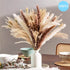 Dried Pampas Flowers - 70 to 120 Pieces 100 Pieces Pampas Flowers