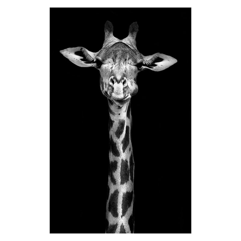 Wild Animal Canvas - Black & White Shades Giraffe Canvas
