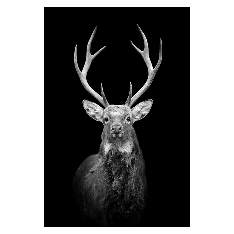Wild Animal Canvas - Black & White Shades Deer Canvas