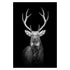 Wild Animal Canvas - Black & White Shades Deer Canvas