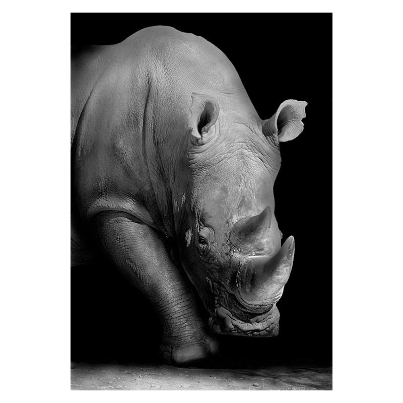 Wild Animal Canvas - Black & White Shades Rhino Canvas
