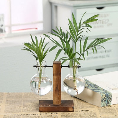 Glass Propagation Vase With Vertical Wooden Stand 2 Parallel Vases Glass Propagation Vase