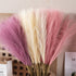 Fluffy Pampas Grass 55cm - Decorative Dried Flowers Pampas Grass