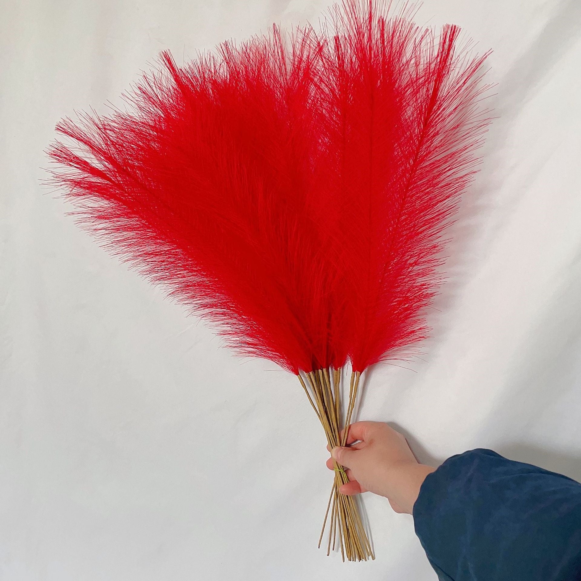 Fluffy Pampas Grass 55cm - Decorative Dried Flowers Red Pampas Grass