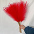 Fluffy Pampas Grass 55cm - Decorative Dried Flowers Red Pampas Grass