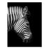 Wild Animal Canvas - Black & White Shades Zebra II Canvas