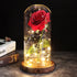 Eternal Galaxy Rose Light Dome Red Brown Base 2