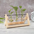 Glass Propagation Vase With Wooden Frame Stand Tan - Triple Glass Propagation Vase