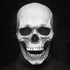 Halloween Skeleton Face Skull Mask With Movable Jaw White Halloween Skeleton Mask