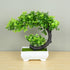 Artificial Bonsai Tree in Pot Green T2 Artificial Bonsai Tree