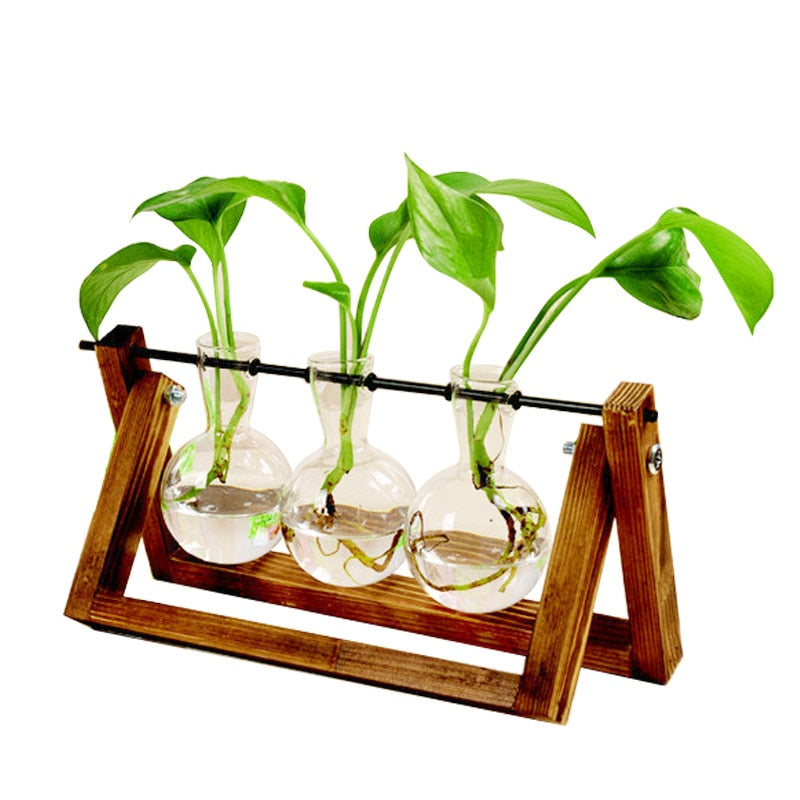 Glass Propagation Vase With Wooden Frame Stand Glass Propagation Vase