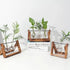 Glass Propagation Vase With Wooden Frame Stand Glass Propagation Vase