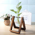 Glass Propagation Vase With Wooden Frame Stand Siena - Single Glass Propagation Vase