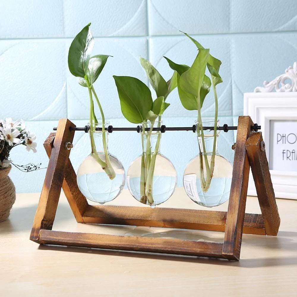 Glass Propagation Vase With Wooden Frame Stand Siena - Triple Glass Propagation Vase